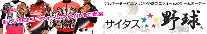 サイタス野球
