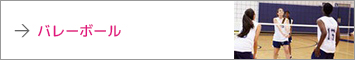 バレーボール